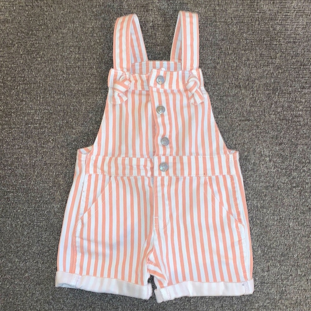 7 For All Mankind Overall Shorts